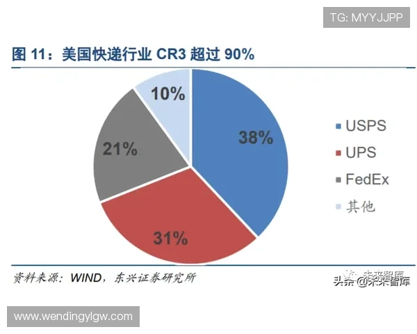 问鼎投资有限公司在网络游戏行业中的发展战略与未来布局分析