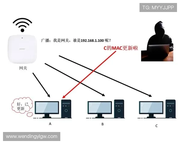 问鼎网页版登录方式的常见问题及对应的解决方案详尽指南