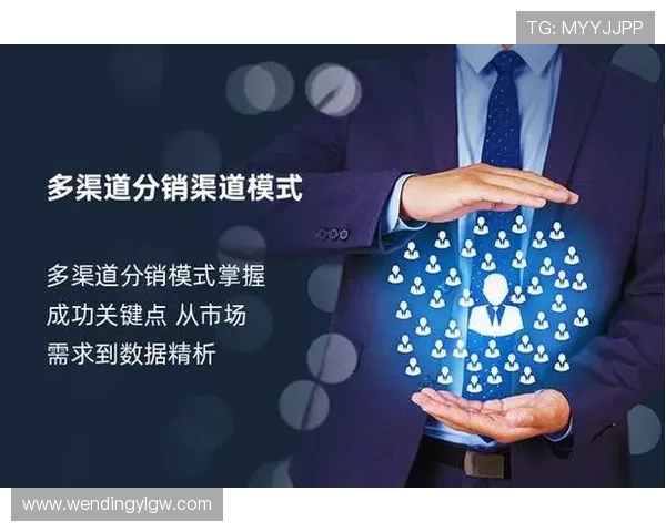 问鼎旗舰店如何利用多渠道营销策略扩大品牌影响力与市场份额 问鼎旗舰店如何利用多渠道营销策略扩大品牌影响力与市场份额